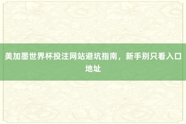 美加墨世界杯投注网站避坑指南，新手别只看入口地址