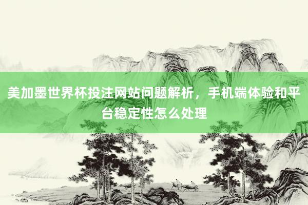 美加墨世界杯投注网站问题解析，手机端体验和平台稳定性怎么处理